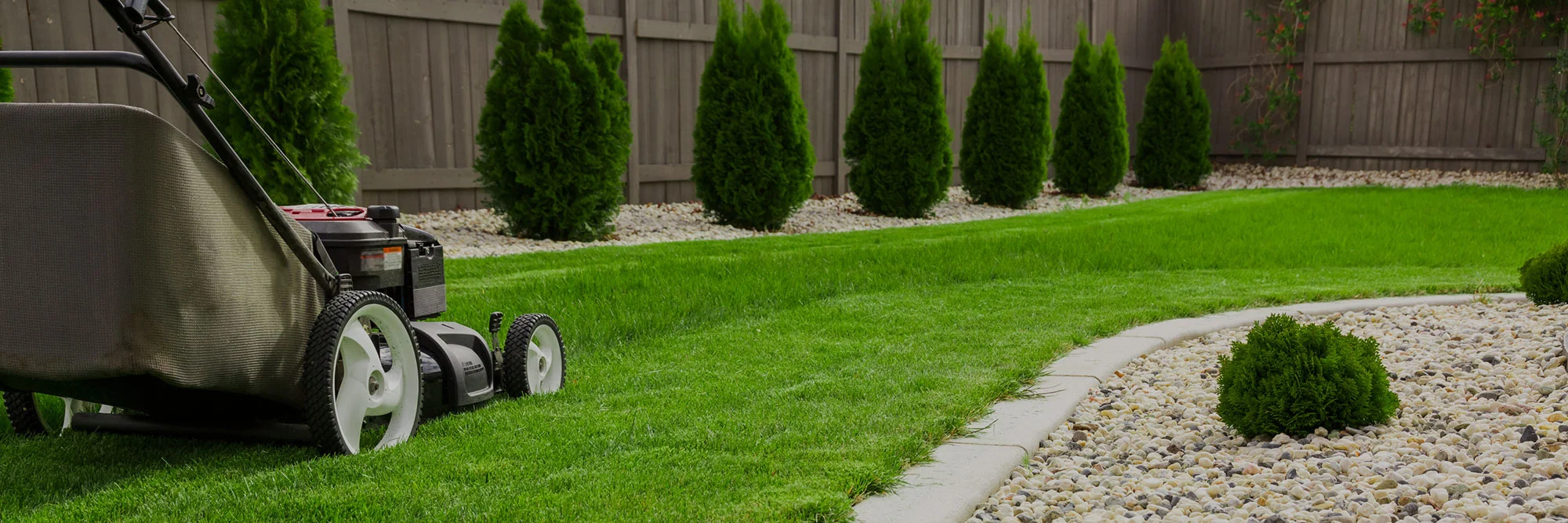 Affordable Garden Design
